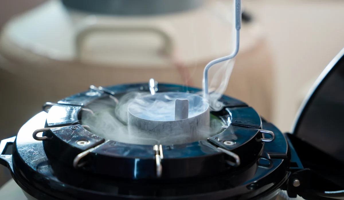 Embryo Freezing in Chennai